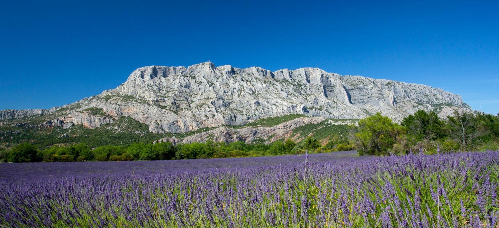 Апартаменты Roucas - Sud Passion - Calme - Fibre Марсель Экстерьер фото